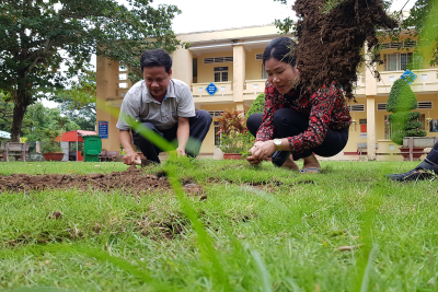 Hoạt động trồng cây xanh của giáo viên